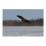 Canon EOS R7 Mirrorless Camera with RF 100-400mm f/5.6-8 IS USM Lens Bundle