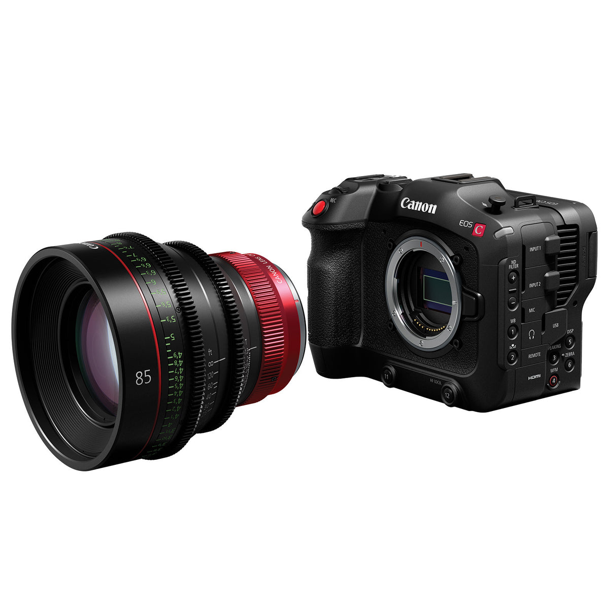 Canon CN-R 85mm T1.3 L F Cinema Prime Lens Canon RF (Open Box)
