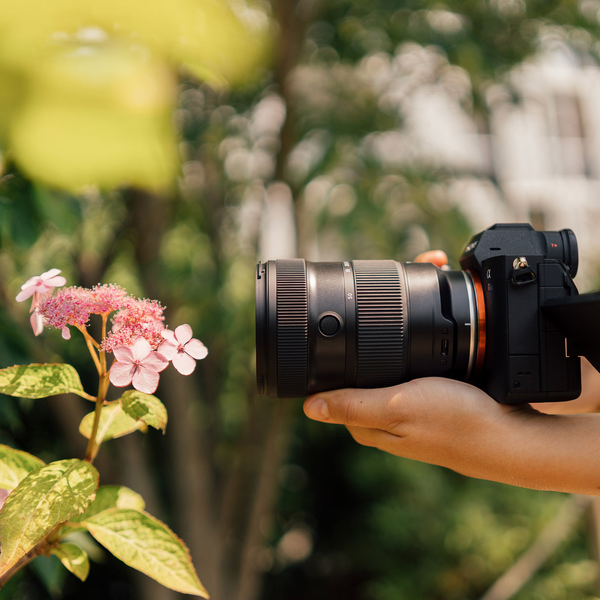 Tamron 17-50mm F/4 Di III VXD for Sony E-Mount