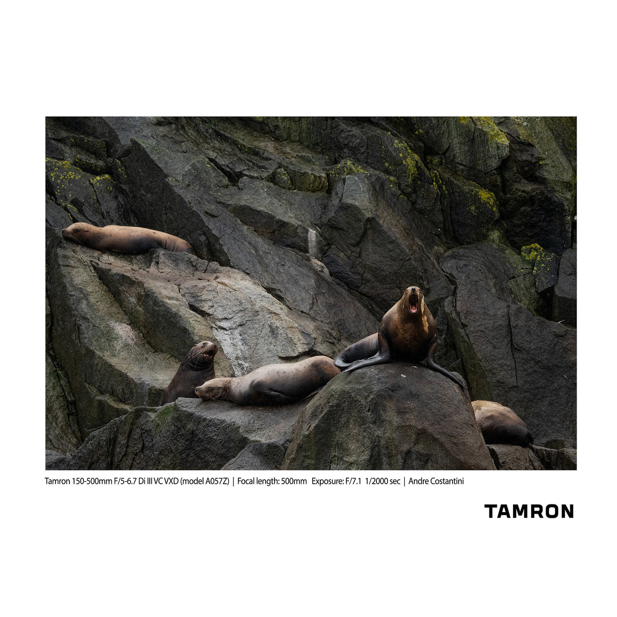 Tamron 150-500mm F/5-6.7 Di III VC VXD Lens for Nikon Z-Mount (Model A057Z)
