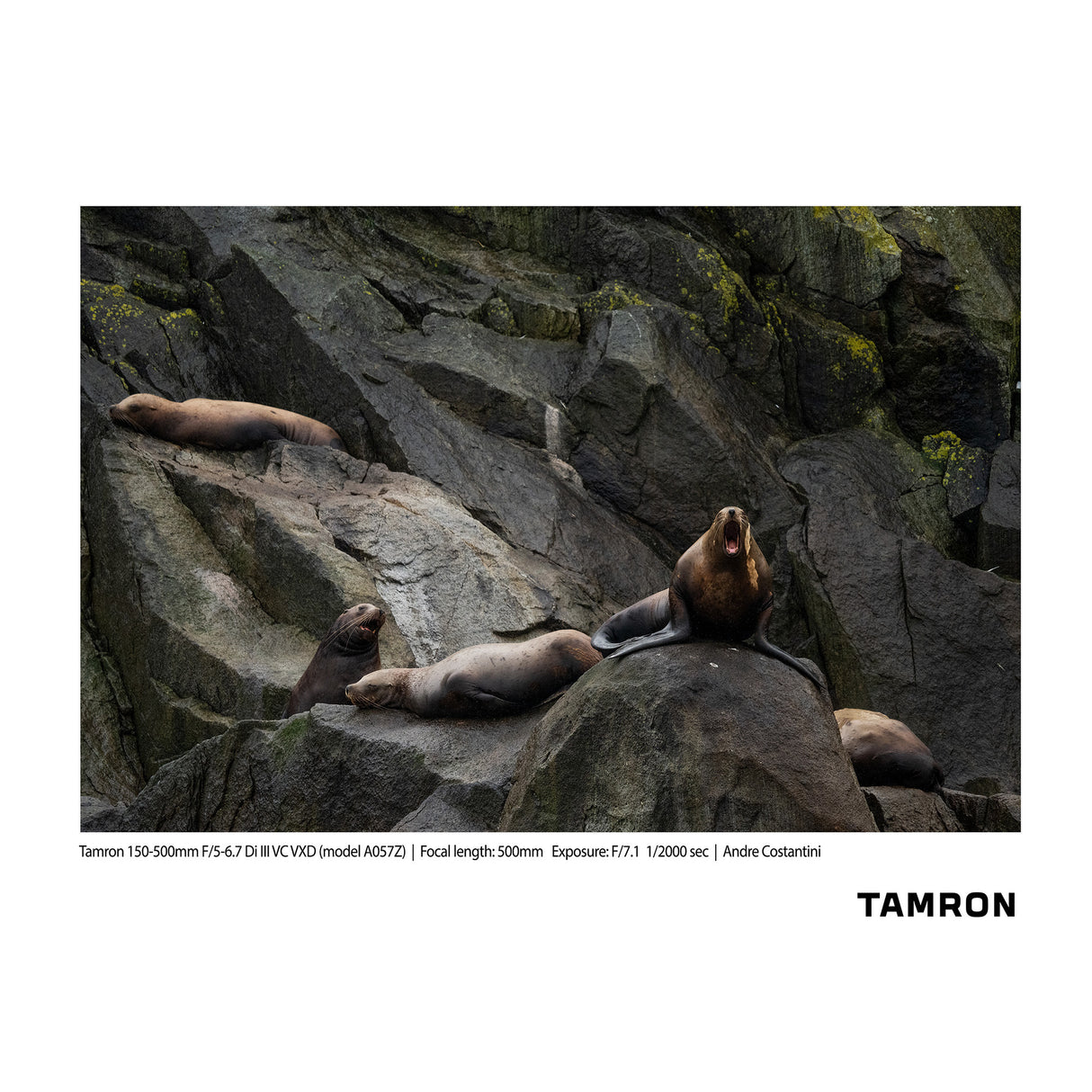 Tamron 150-500mm F/5-6.7 Di III VC VXD Lens for Nikon Z-Mount (Model A057Z)