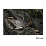 Tamron 150-500mm F/5-6.7 Di III VC VXD Lens for Nikon Z-Mount (Model A057Z)