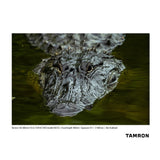 Tamron 150-500mm F/5-6.7 Di III VC VXD Lens for Nikon Z-Mount (Model A057Z)