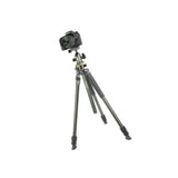 Vanguard Alta Pro 2+ 263CB 100 Carbon Tripod with Multi-Action Ball Head