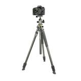 Vanguard Alta Pro 2+ 263CB 100 Carbon Tripod with Multi-Action Ball Head