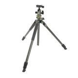 Vanguard Alta Pro 2+ 263CB 100 Carbon Tripod with Multi-Action Ball Head