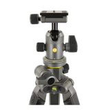 Vanguard Alta Pro 2+ 263CB 100 Carbon Tripod with Multi-Action Ball Head