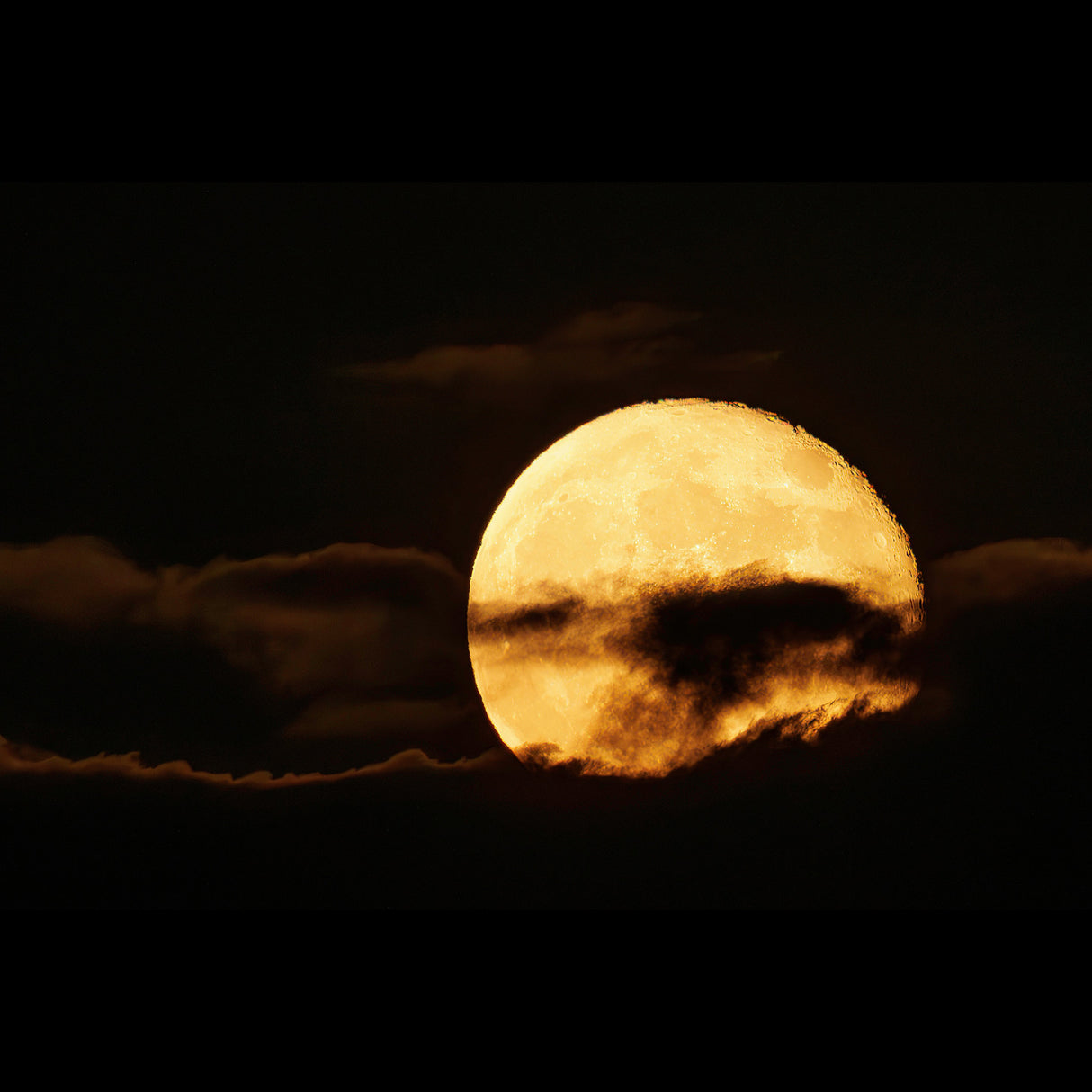 Canon RF 200-800mm F6.3-9 IS USM Lens