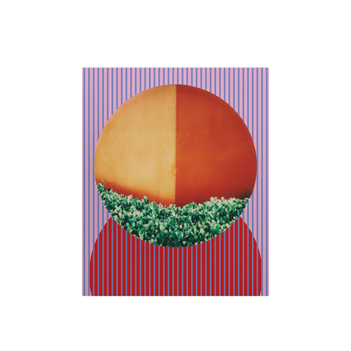 Color film for I-Type-Round Frame Retinex - Double Pack