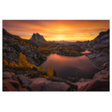Hoya 88MM NXT Plus Circular Polarizer Filter with Low-Profile Aluminum Frame and 1.72 Filter Factor