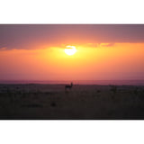 Sony FE 300mm F2.8 GM OSS Full-frame Telephoto Prime G Master Lens