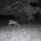 Cuddeback CuddeLink Wireless 3rd Gen Trail Cameras with Cell Home Trail Camera Bundle (3-Pack)