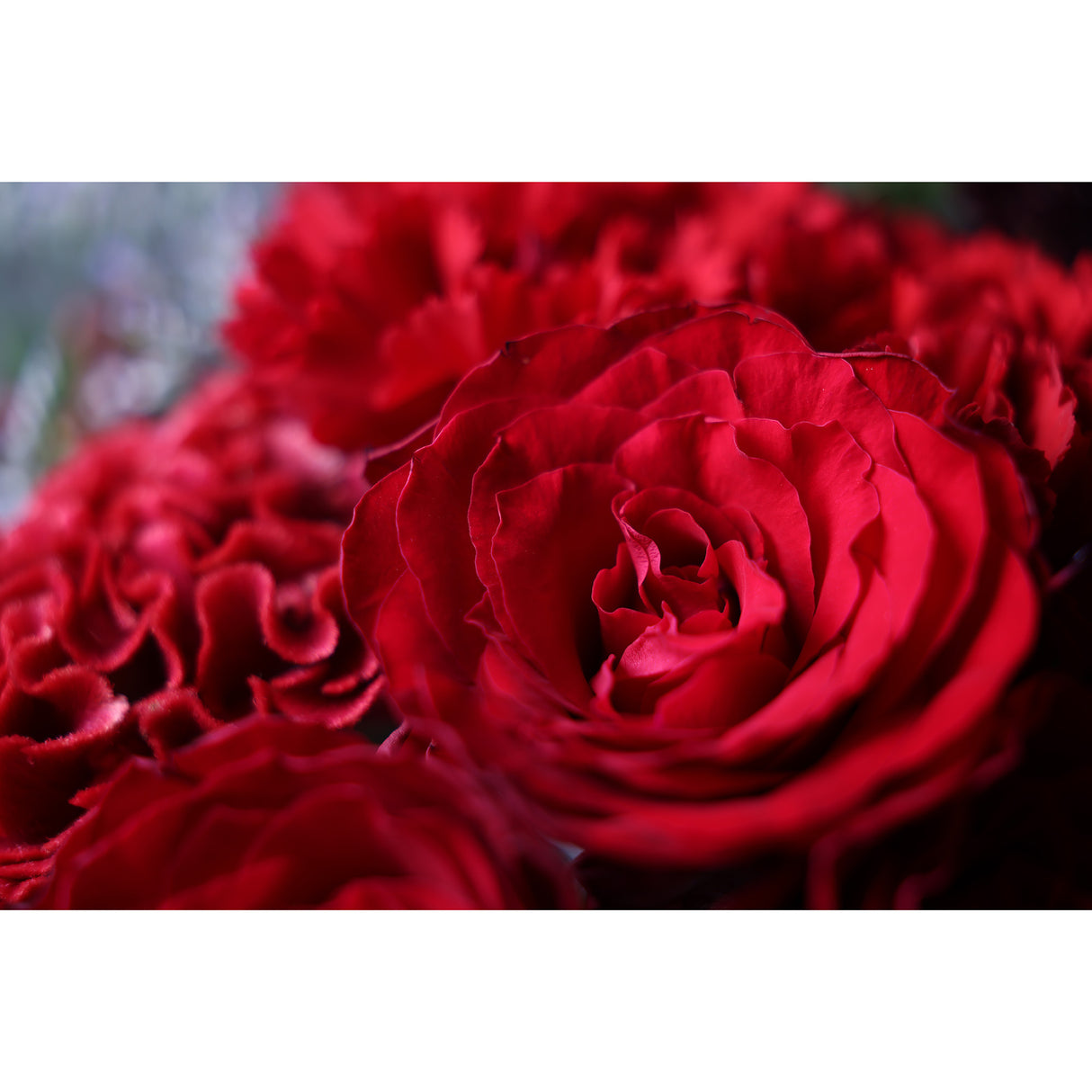 Canon EOS C70 Mirrorless Cinema Camera with RF24-105mm F2.8 L IS USM Z Lens