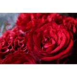 Canon EOS C70 Mirrorless Cinema Camera with RF24-105mm F2.8 L IS USM Z Lens