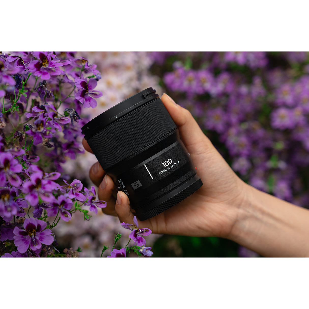 Panasonic LUMIX Full Frame 100mm F2.8 Macro Lens for Lumix S Series Cameras (S-E100)