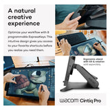Wacom Cintiq Pro 22 Ultra HD 4K Drawing Tablet with 10-Point Multi-Touch, and Pro Pen 3 (Black)