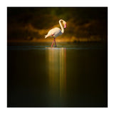 OM SYSTEM M.Zuiko Digital ED 150-600mm f/5-6.3 IS Lens (Micro Four Thirds)