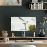 ALOGIC Clarity Max 32-Inch UHD 4K Studio-Grade Monitor with USB-C Power Delivery and HDR400 Support