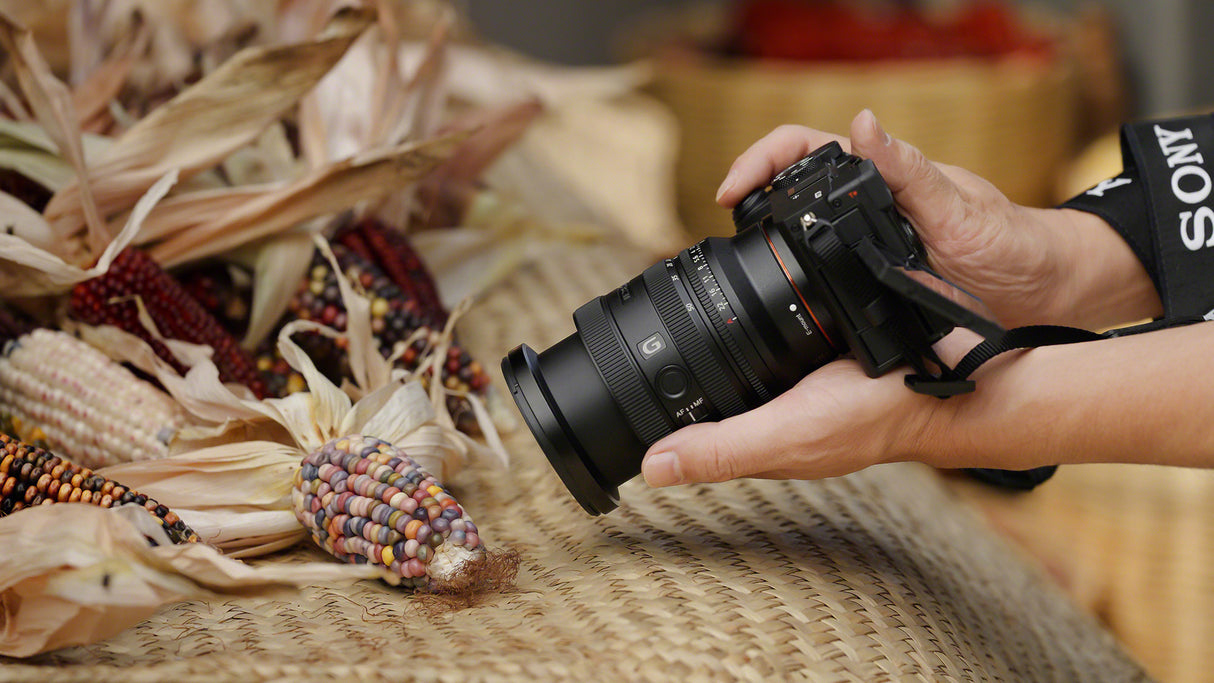 Sony FE 24-50mm F2.8 G Compact Lightweight Standard Zoom Lens with Large F2.8 Constant Aperture