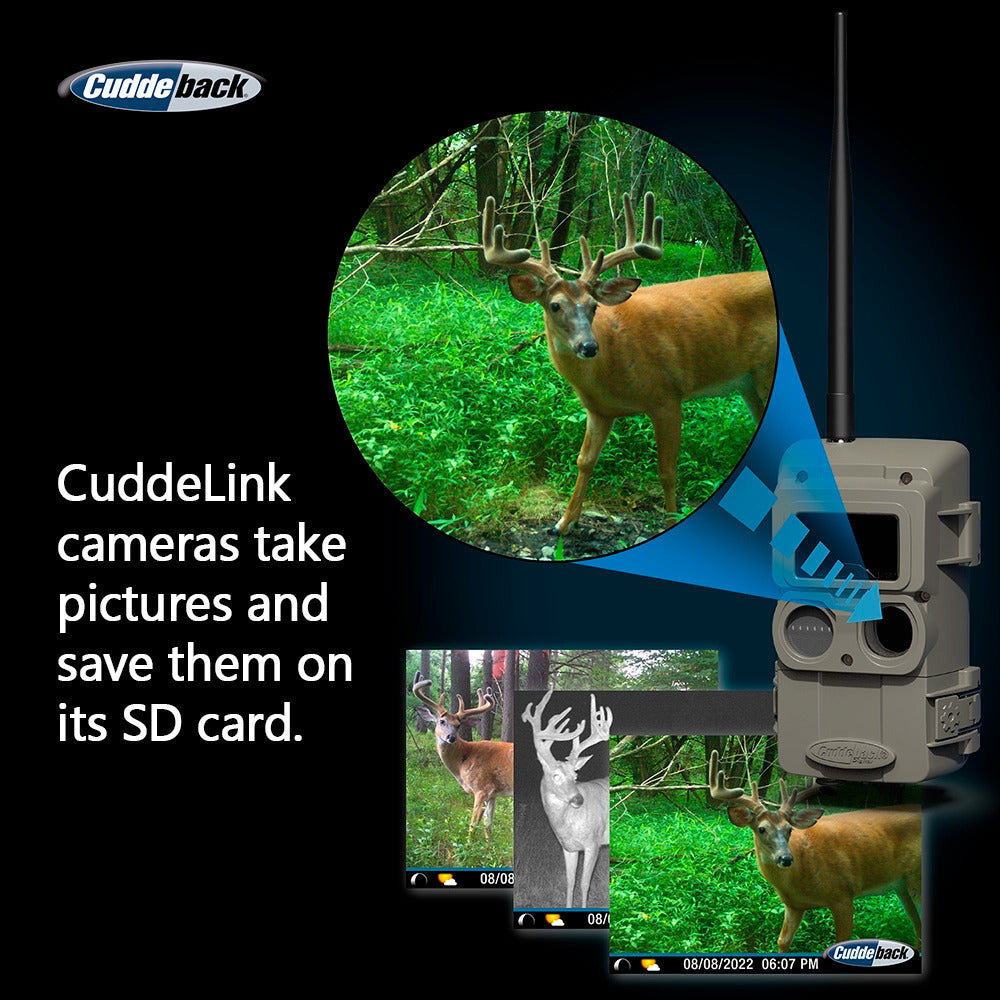 Cuddeback CuddeLink Wireless, Low-Glow Black Flash LED Camera with Cuddeback CuddeLink Cell Home