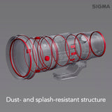 Sigma 500mm F5.6 DG DG OS Sports, L Mount With Corel Software, 65GB Memory Card and Hard Case