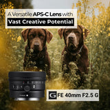 Sony SEL40F25G FE 40mm f/2.5 G Full-Frame G Lens with Editing Software, 64GB Memory Card Bundle