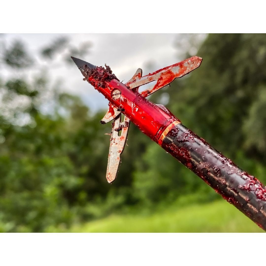 EVO-X CenterPunch Broadhead (3-pack)