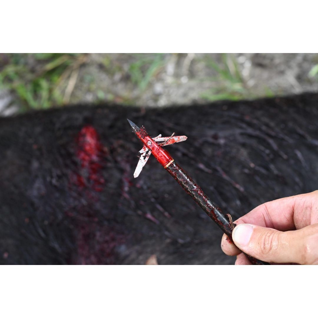 EVO-X CenterPunch Broadhead (3-pack)