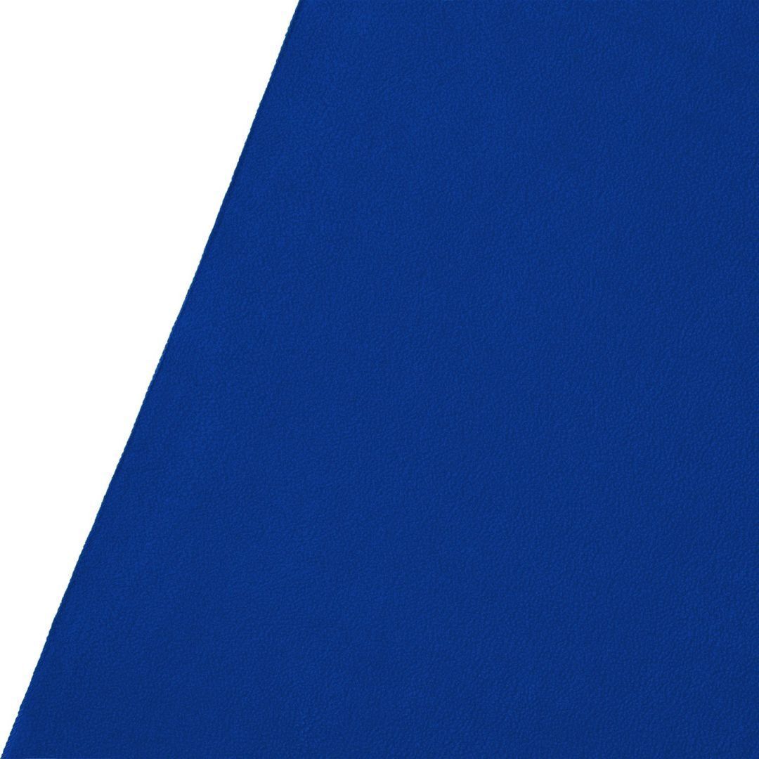 Westcott 9 x 20-Feet Wrinkle-Resistant Backdrop (Royal Blue or Chroma-Key Blue)