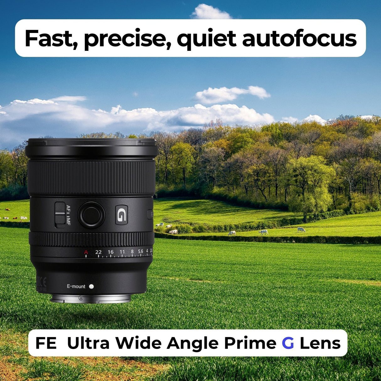 Sony FE 20mm f/1.8 G Ultra-Wide Angle G Lens with Editing Software, 64GB Memory Card Bundle