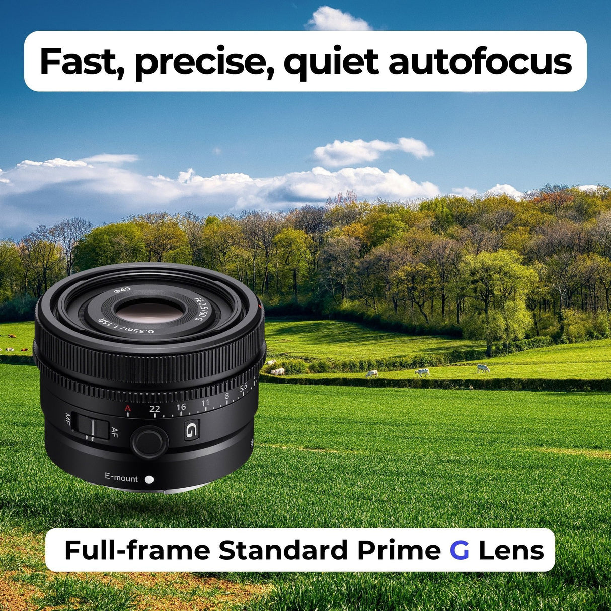 Sony FE 50mm f/2.5 G Full-Frame Ultra-Compact G Lens with Editing Software, 64GB Memory Card Bundle