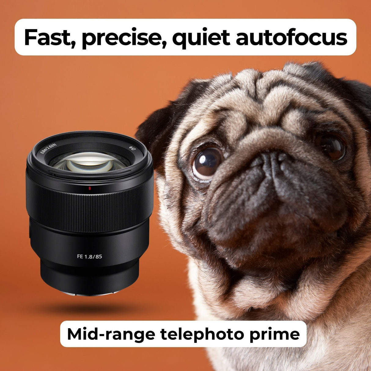 Sony FE 85mm f/1.8 Prime E-Mount Lens with Editing Software, 64GB SD Card Bundle