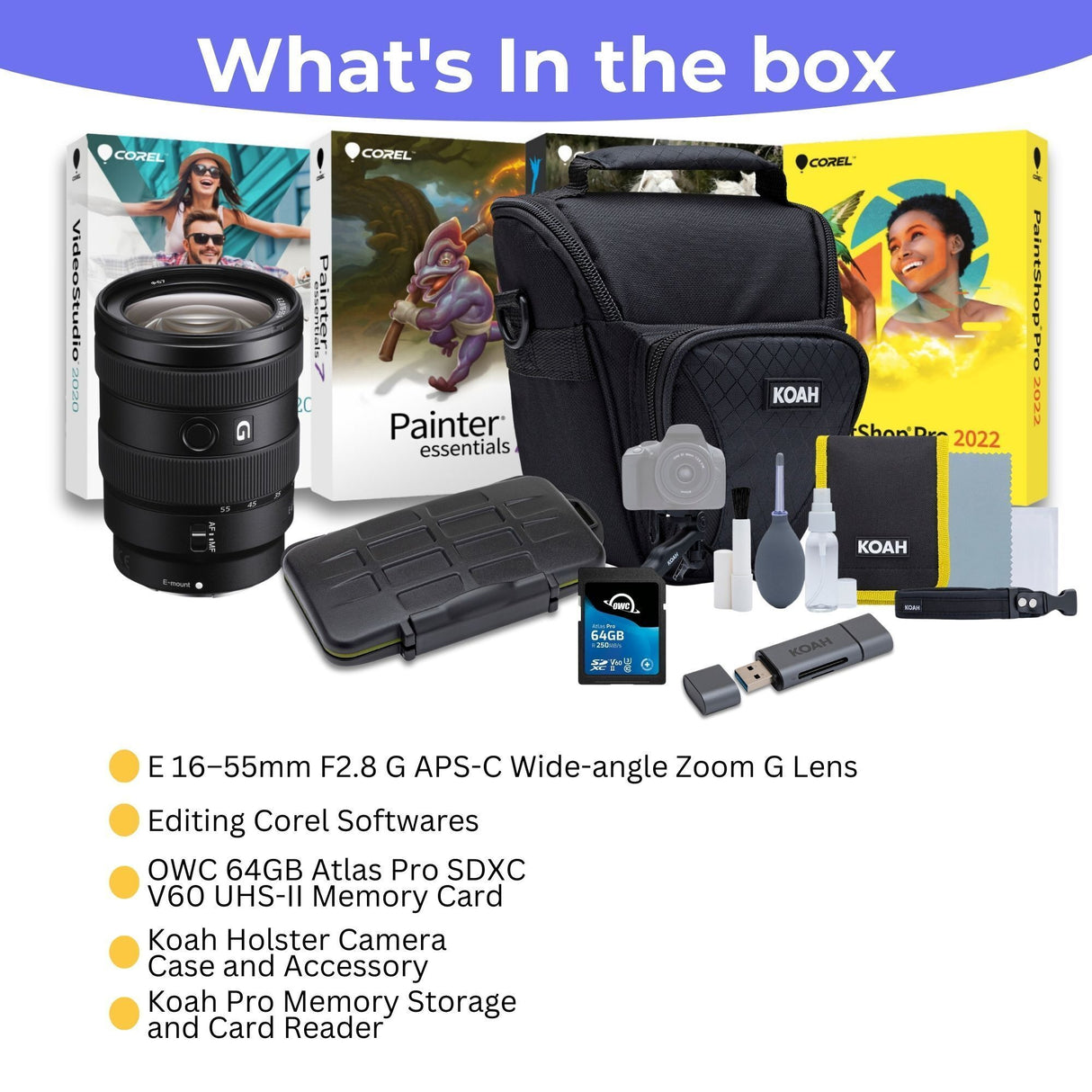 Sony E 16-55mm F2.8 G APS-C Wide-angle Zoom G Lens with 64GB Memory Card, Editing Software Bundle