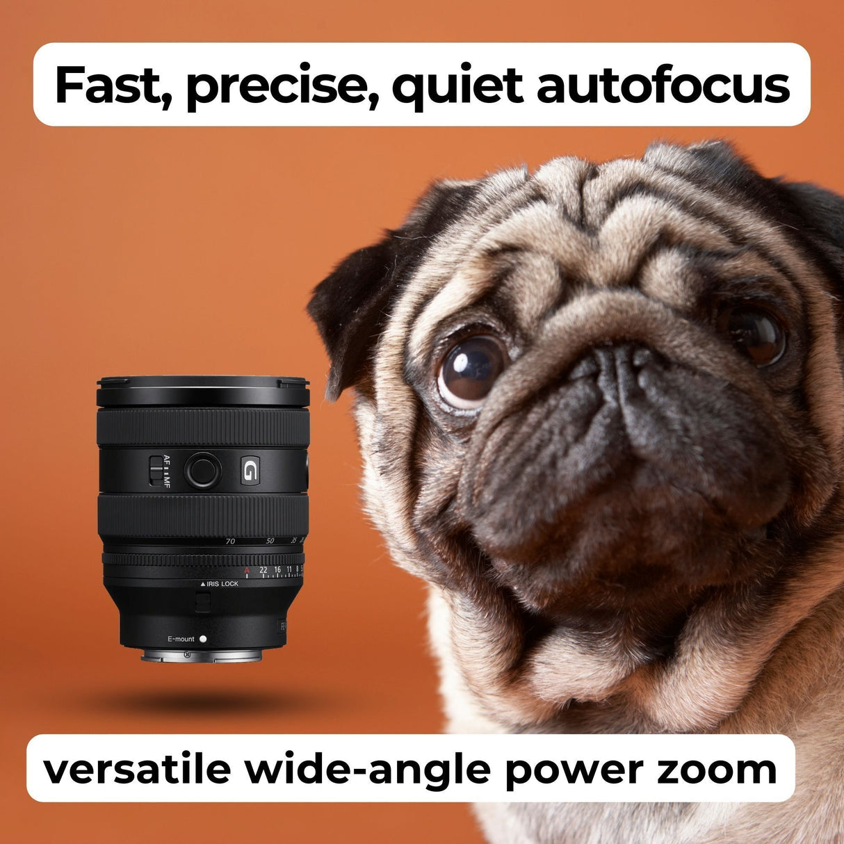 Sony FE 20-70mm F4 G Compact Zoom Lens with 64GB Memory Card, Editing Software, Camera Case Bundle