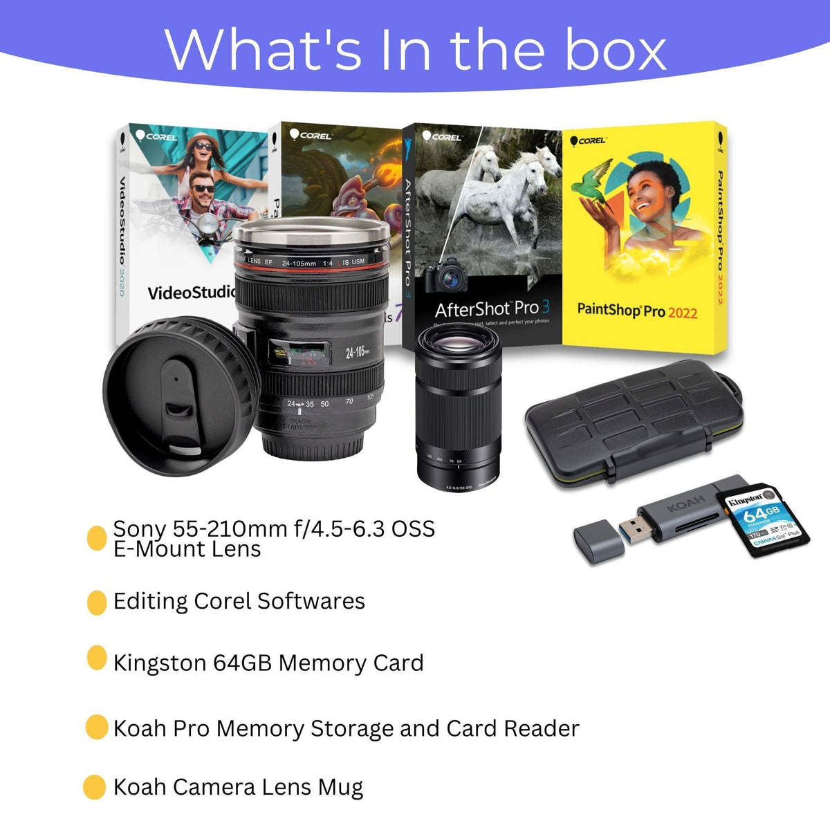 Sony 55-210mm Telephoto Lens with 64GB Memory Card, Editing Software, Camera Mug, and SD Card Reader