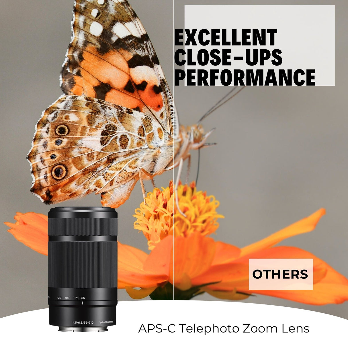 Sony 55-210mm Telephoto Lens with 64GB Memory Card, Editing Software, Camera Mug, and SD Card Reader