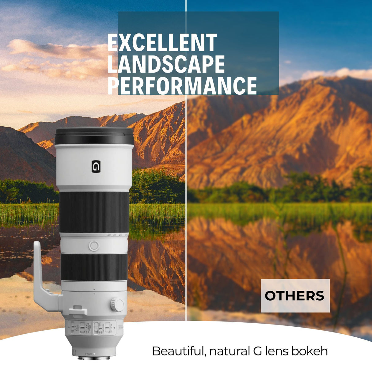 Sony FE 200-600mm f/5.6-6.3 G OSS Super Telephoto Zoom Lens with 64GB Memory Card Bundle