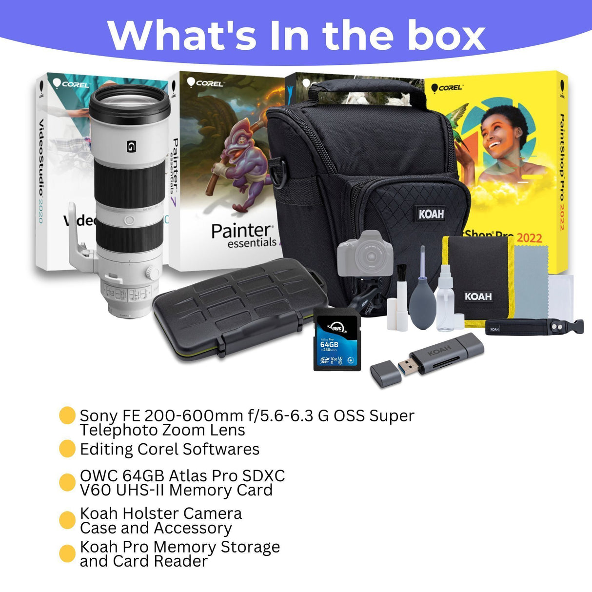 Sony FE 200-600mm f/5.6-6.3 G OSS Super Telephoto Zoom Lens with 64GB Memory Card Bundle