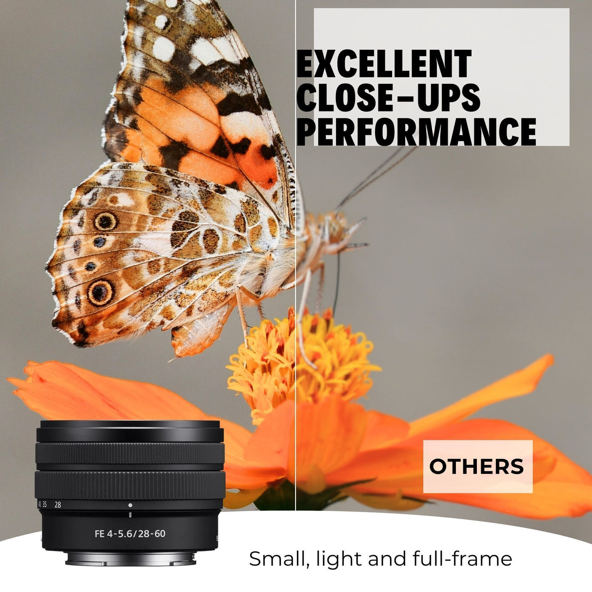 Sony Alpha FE 28-60mm f/4-5.6 Full-Frame E-mount Zoom Lens with 64GB Memory Card Bundle