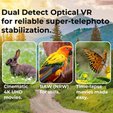 Nikon COOLPIX P950 Digital Camera (Black) Camera Case and Accessory, 64GB Memory Card Bundle