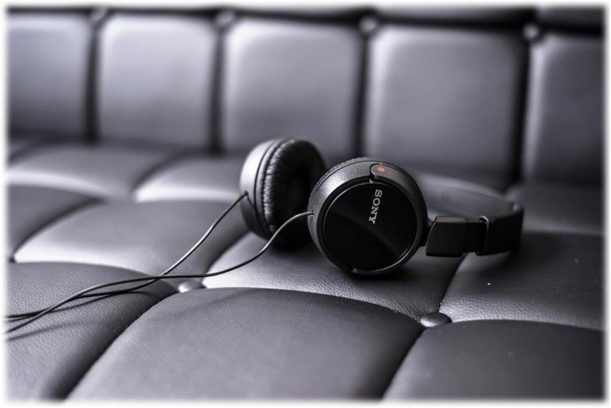 Sony MDR-ZX310AP ZX Series Stereo Headset (Black) with Headphone Case Bundle