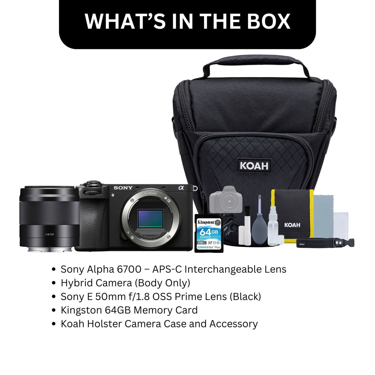 Sony Alpha 6700 APS-C Lens Hybrid Camera, Lens (Black), Case and Accessory, Card Bundle
