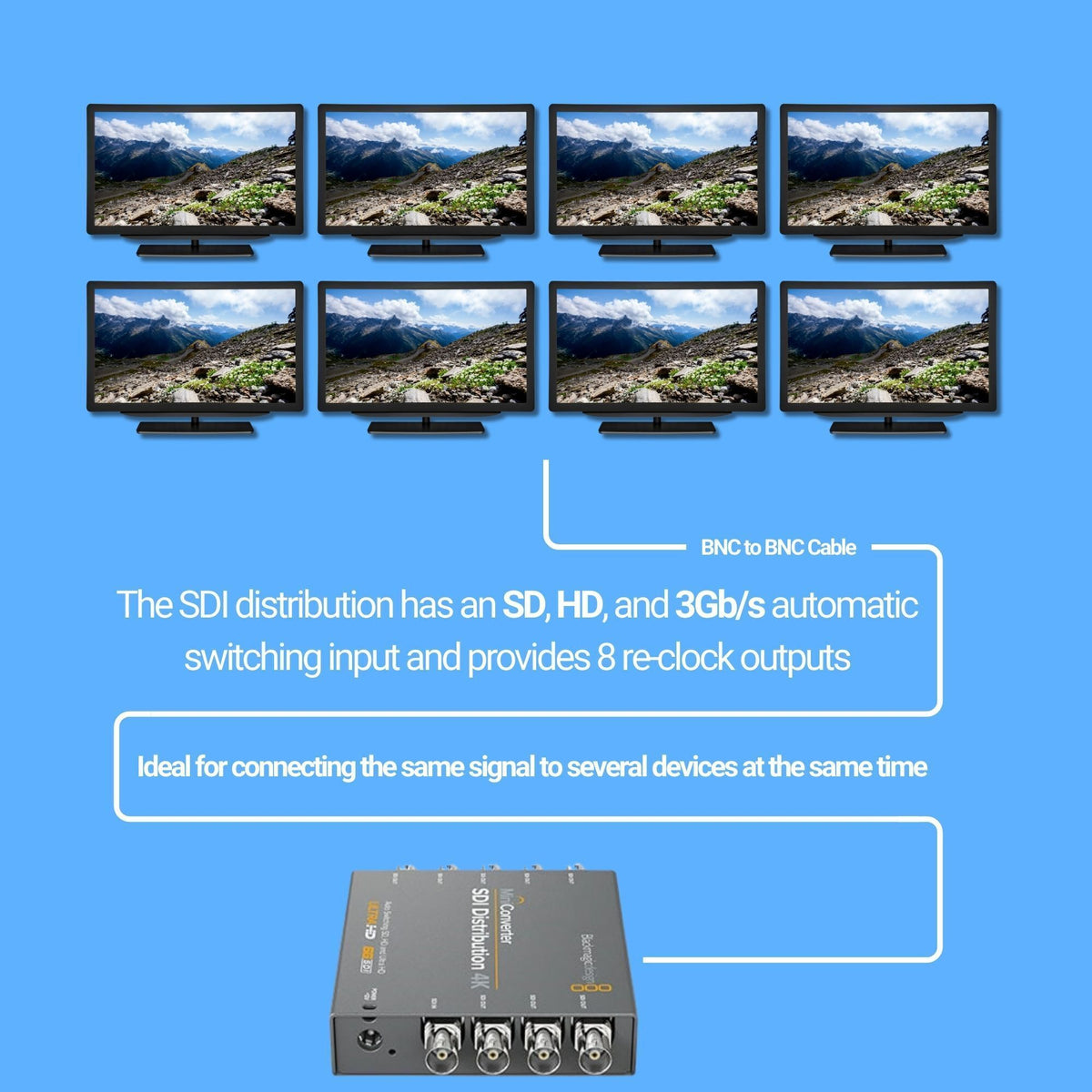 Blackmagic Design Mini Converter SDI Distribution with SDI Video Cable (BNC to BNC) Bundle