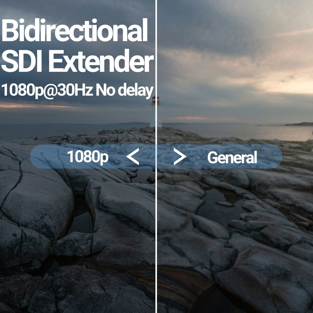 Blackmagic Design Mini Converter SDI Distribution with 25-Feet SDI Video Cable (BNC to BNC) Bundle