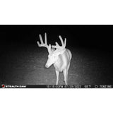 Stealth Cam 20MP Trail Camera with 60 Feet Range Detection and 720P Video Resolution (2-Pack)