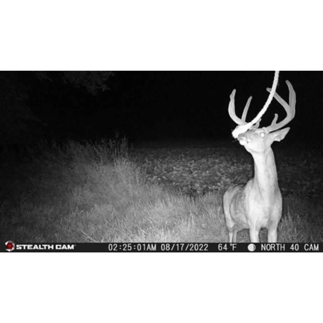 Stealth Cam 20MP Trail Camera with 60 Feet Range Detection and 720P Video Resolution (2-Pack)