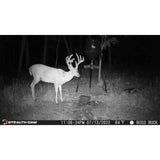 Stealth Cam 20MP Trail Camera with 60 Feet Range Detection and 720P Video Resolution (2-Pack)