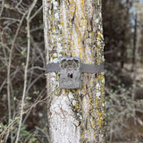 Stealth Cam 20MP Trail Camera with 60 Feet Range Detection and 720P Video Resolution (2-Pack)