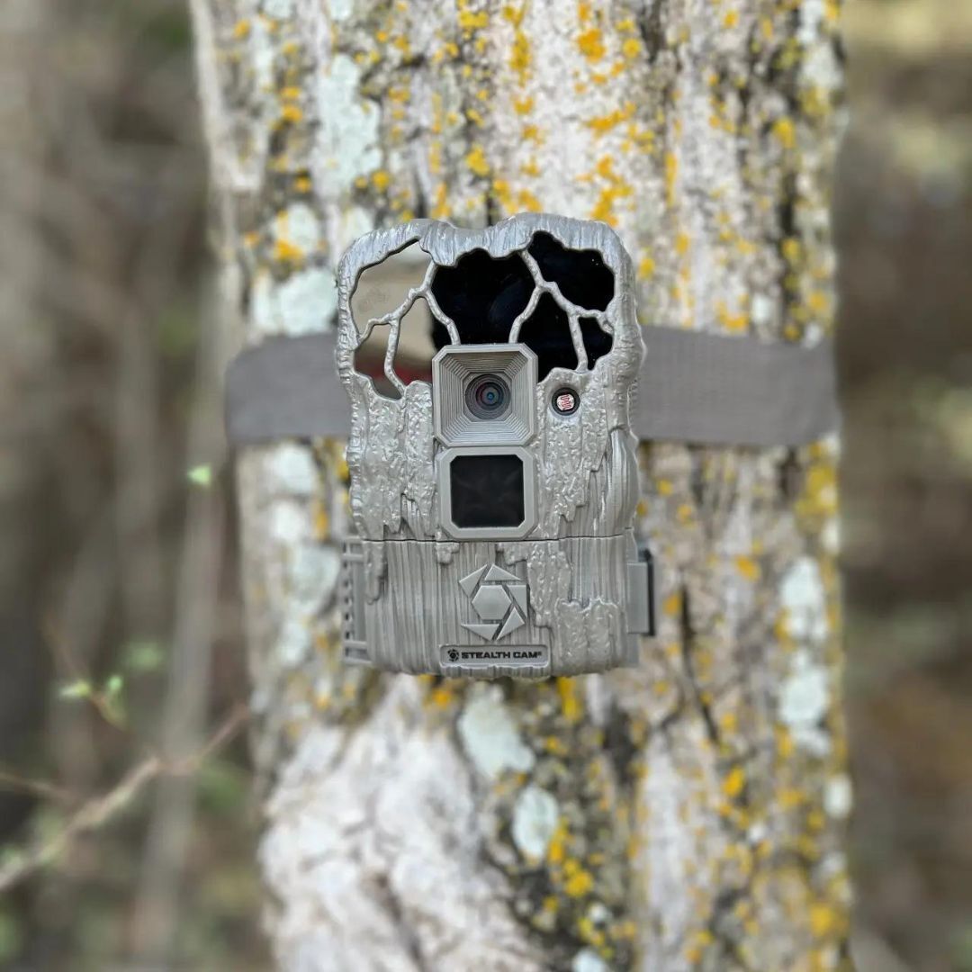 Stealth Cam 20MP Trail Camera with 60 Feet Range Detection and 720P Video Resolution (2-Pack)