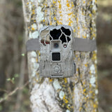 Stealth Cam 20MP Trail Camera with 60 Feet Range Detection and 720P Video Resolution (2-Pack)
